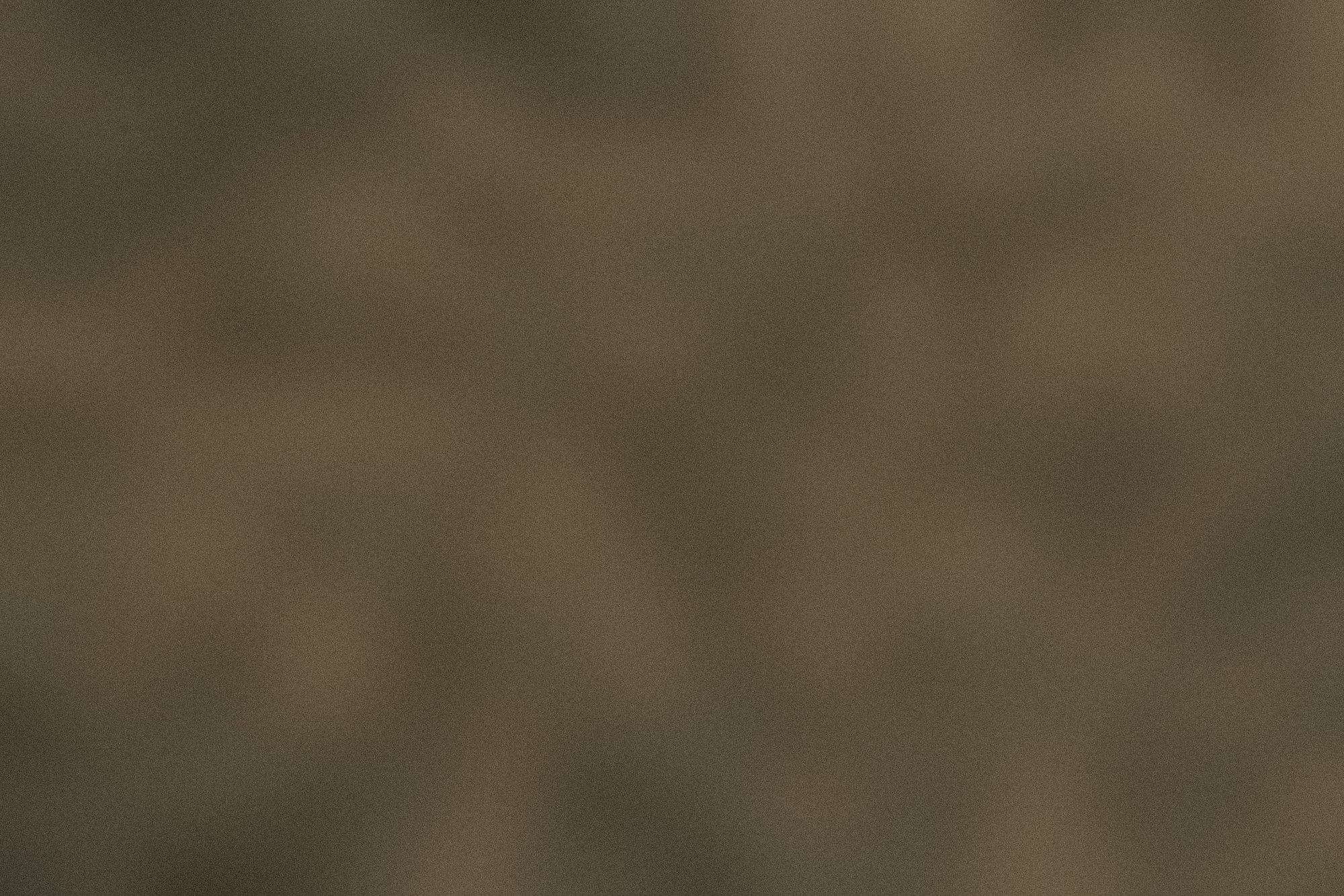 A folded leaf used as a lid.