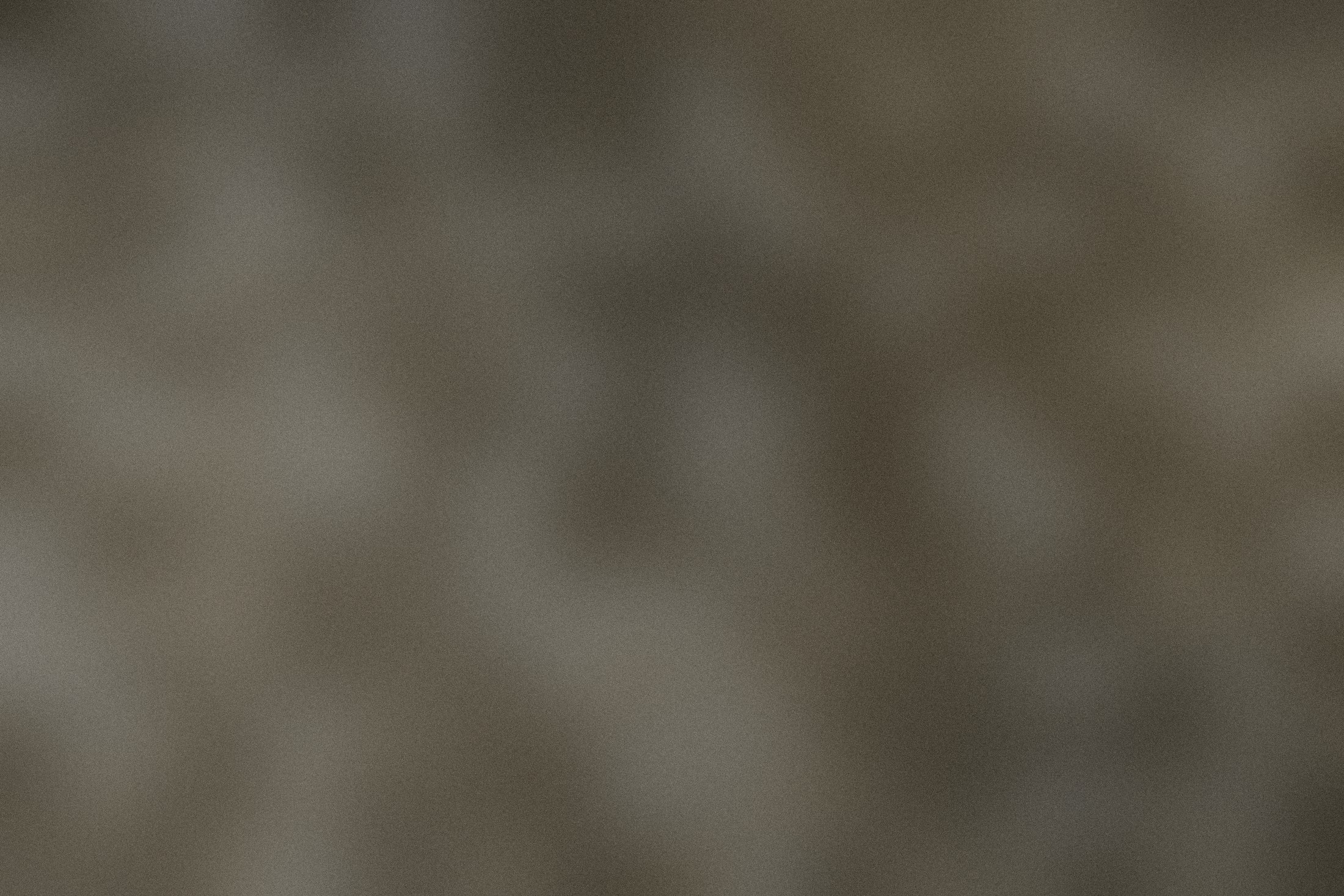 Day seven, the surface still clean.