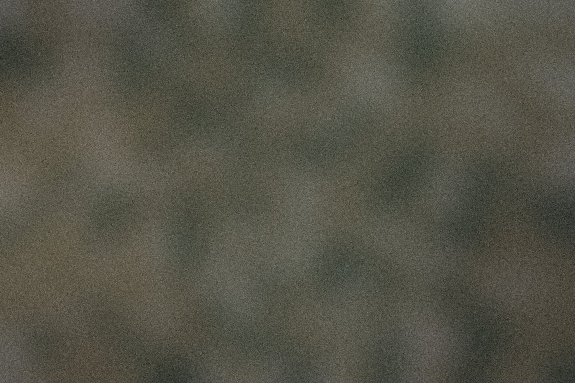Day seven, the surface still clean.
