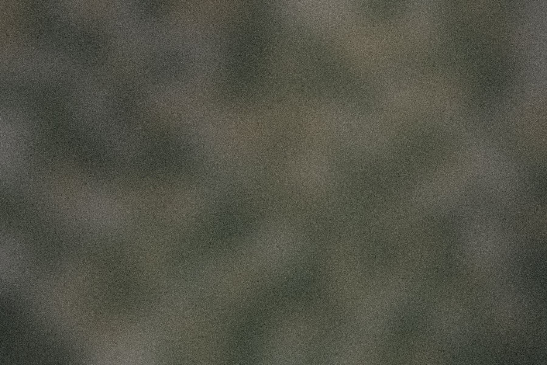 Bubbles rising in the third day of an active ferment.
